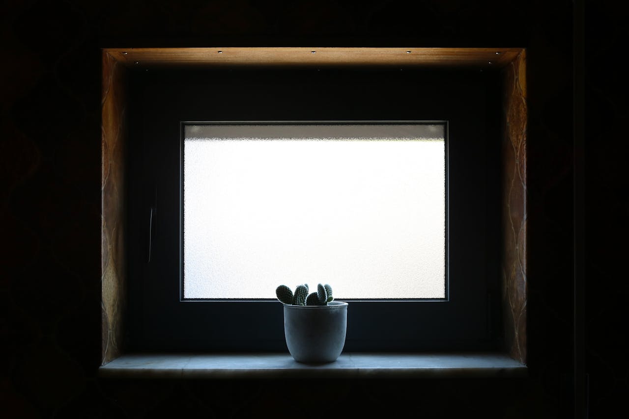 A rustic room showcasing a potted cactus on a windowsill with filtered natural light.